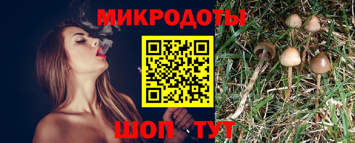 Галлюциногенные грибы GOLDEN TEACHER  Вход с VPN  Полысаево 